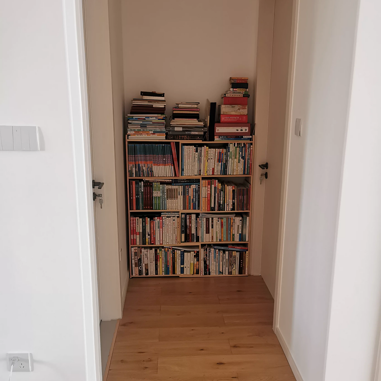 Contemporary Scandinavian Bookshelf