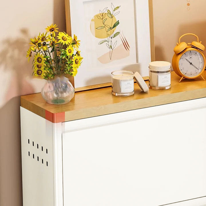 Modern Shoe Rack