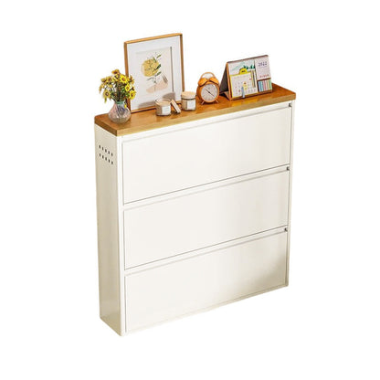 Modern Shoe Rack