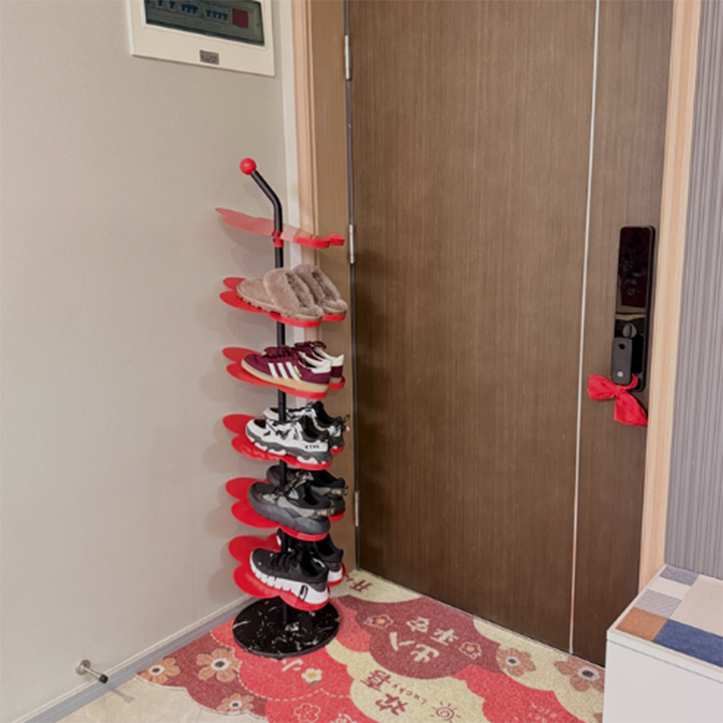 Modern Carbon Steel Shoe Rack