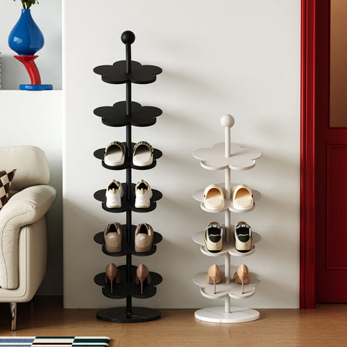 Modern Carbon Steel Shoe Rack