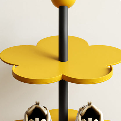 Modern Carbon Steel Shoe Rack