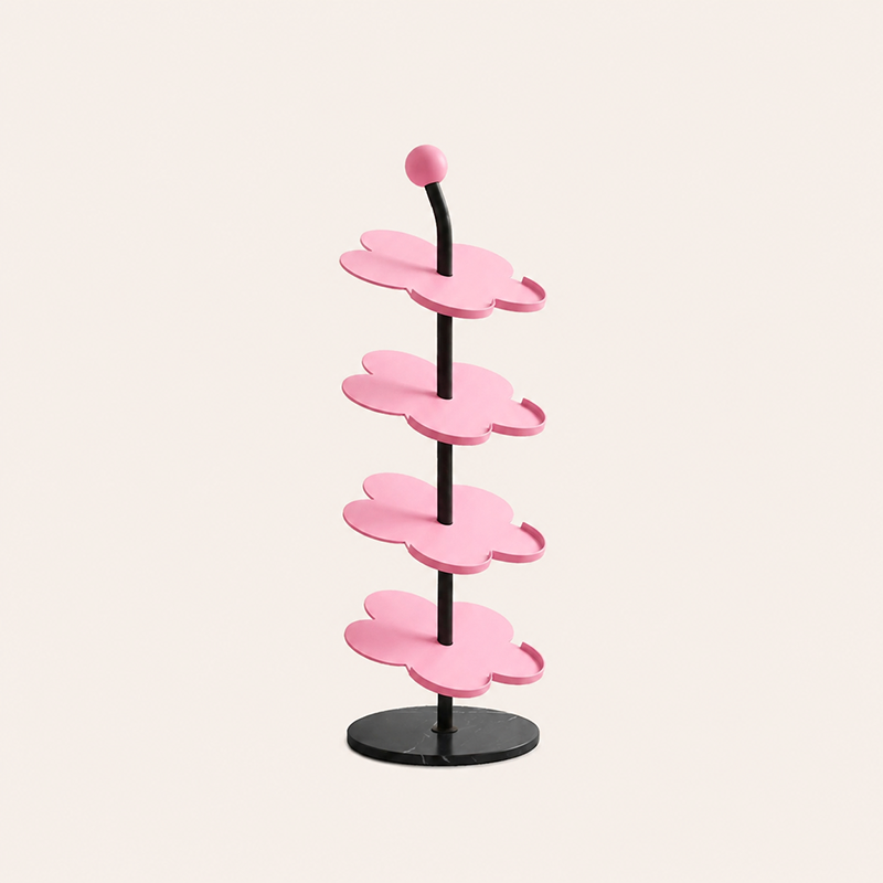 Modern Carbon Steel Shoe Rack