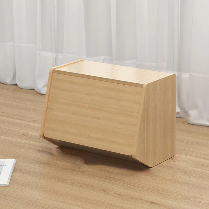 Contemporary Storage Cabinet