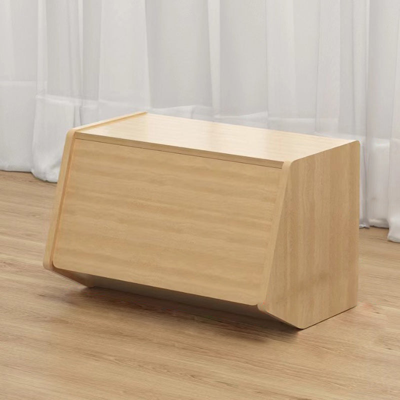Contemporary Storage Cabinet