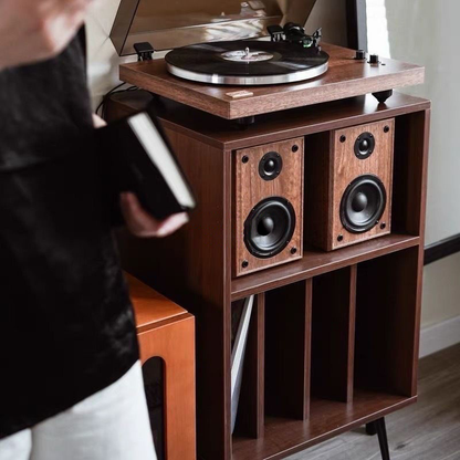 Modern Metal Storage Cabinet