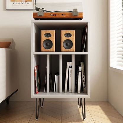 Modern Metal Storage Cabinet