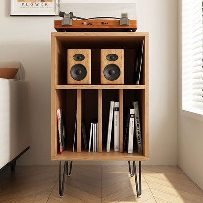 Modern Metal Storage Cabinet