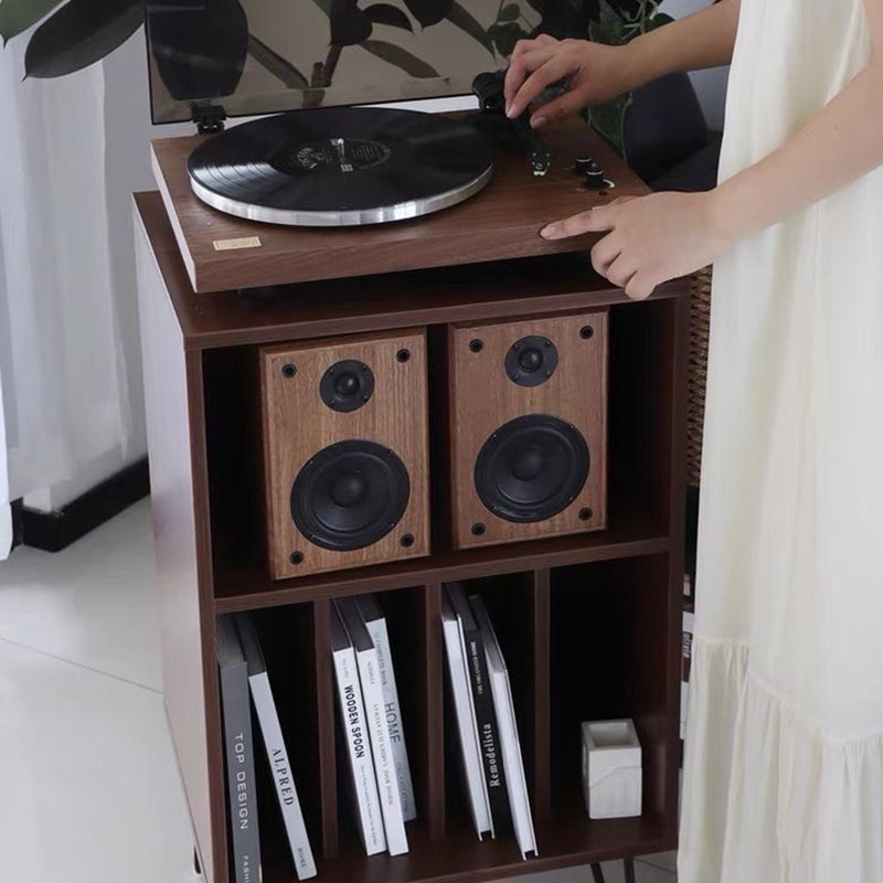 Modern Metal Storage Cabinet