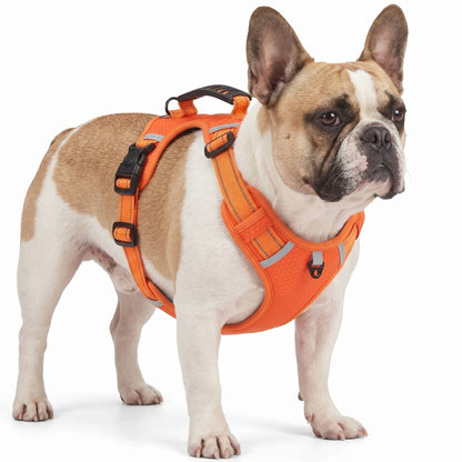 Reflective No Pull Dog Harness, Breathable Mesh