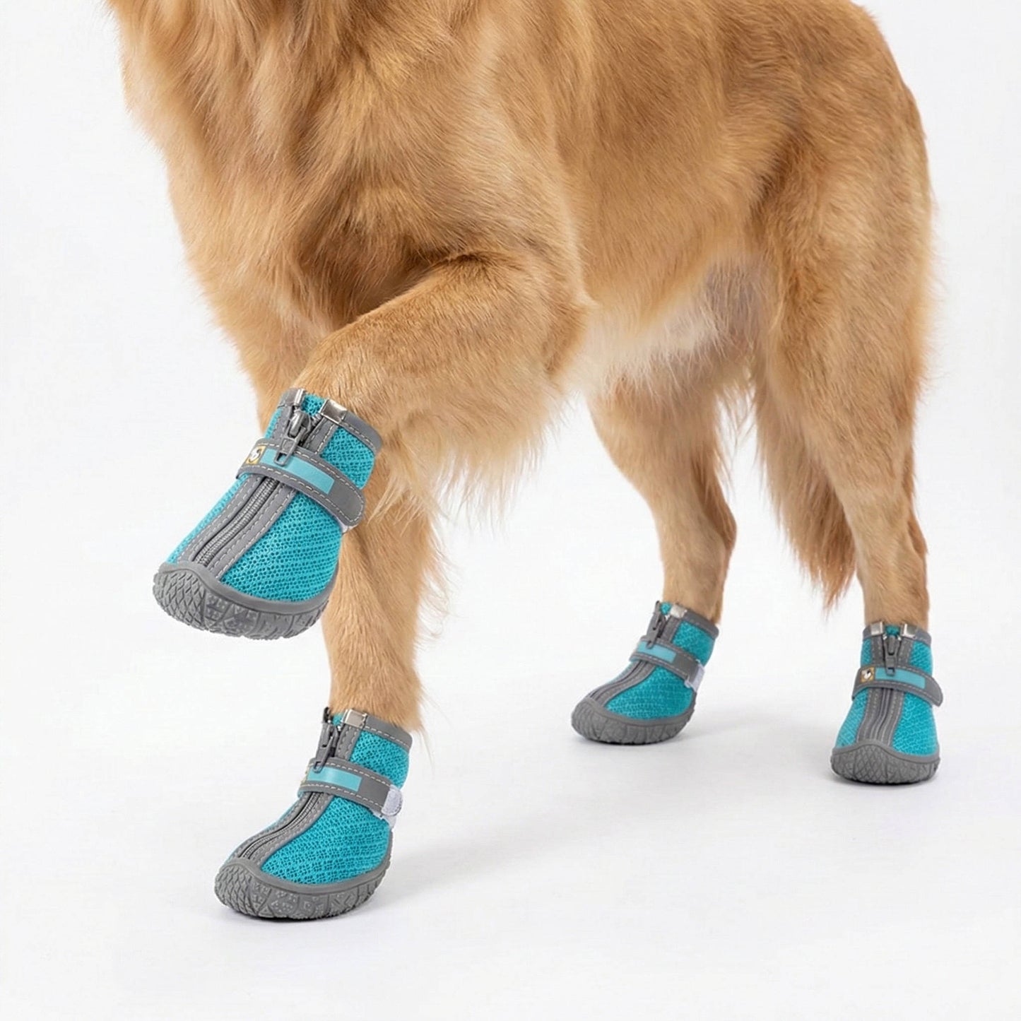 Anti-Slip Dog Shoes