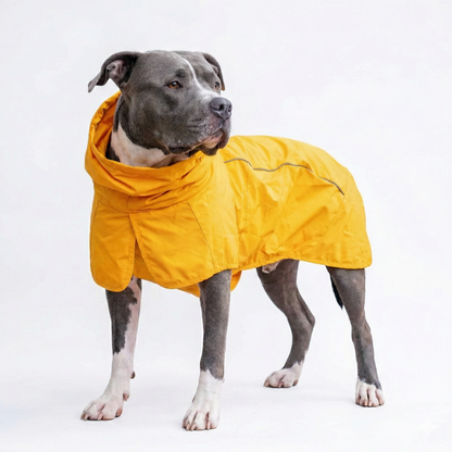 Waterproof Windproof Dog Raincoat