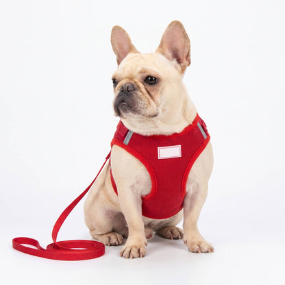 Reflective Corduroy Dog Harness & Leash Set