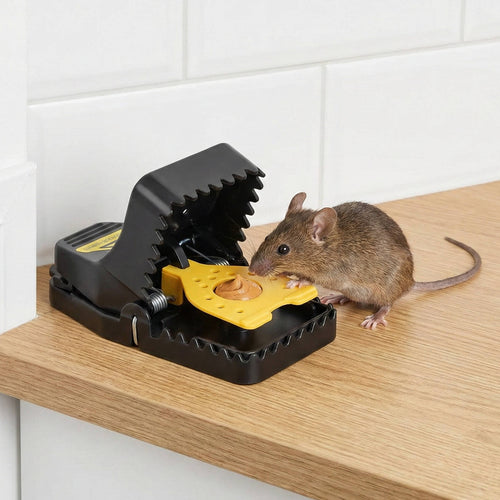 Snap Mouse Trap 4-Pack, Reusable No-Touch Rat Trap