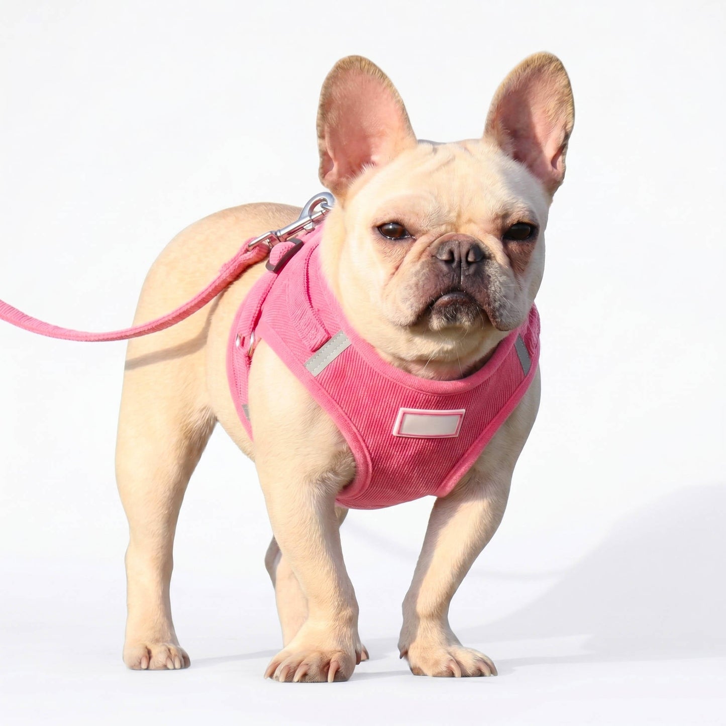 Reflective Corduroy Dog Harness & Leash Set
