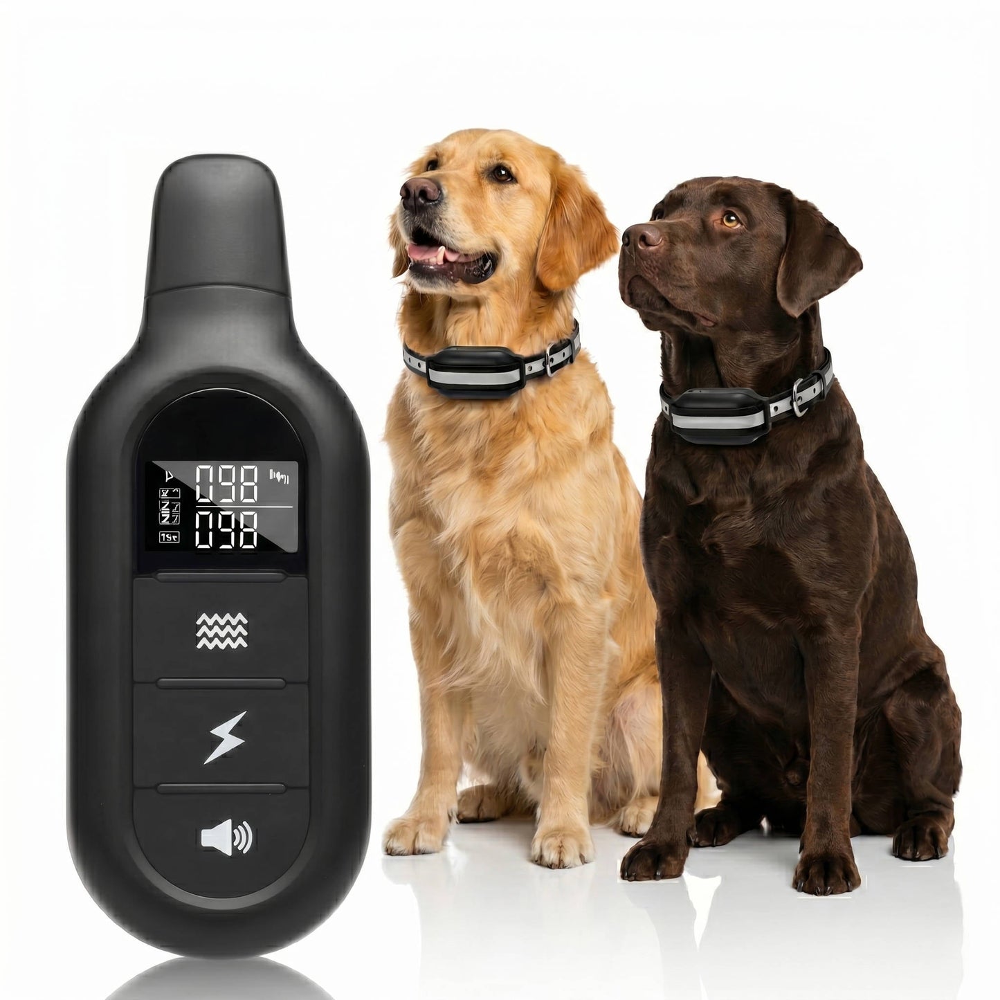 Electric Dog Training Collar with Remote