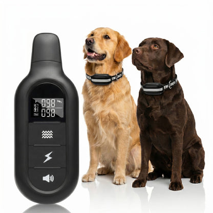 Electric Dog Training Collar with Remote
