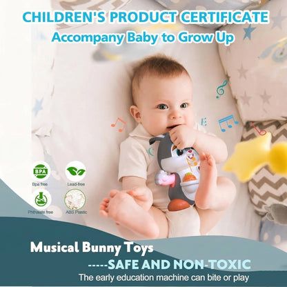 Easter Bunny Musical Baby Crawling Toy