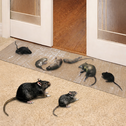 Sticky Pest Control Boards, Waterproof Base, 10 Pack