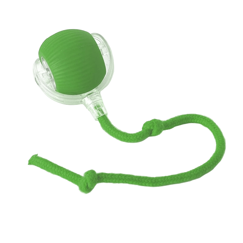 Automatic Moving Dog Ball, 180-Min Runtime