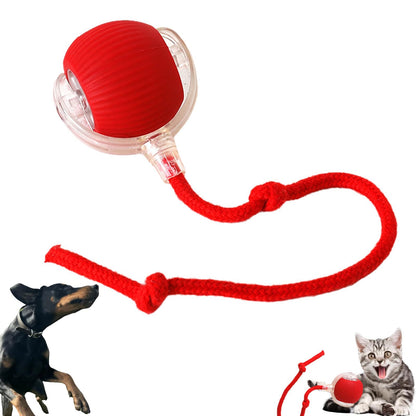 Interactive Rolling Pet Ball with Touch Activation