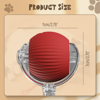 Interactive Rolling Pet Ball with Touch Activation