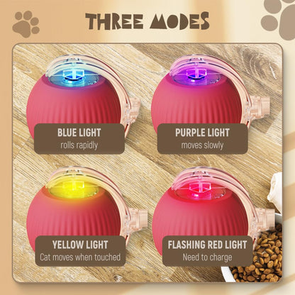 Interactive Rolling Pet Ball with Touch Activation