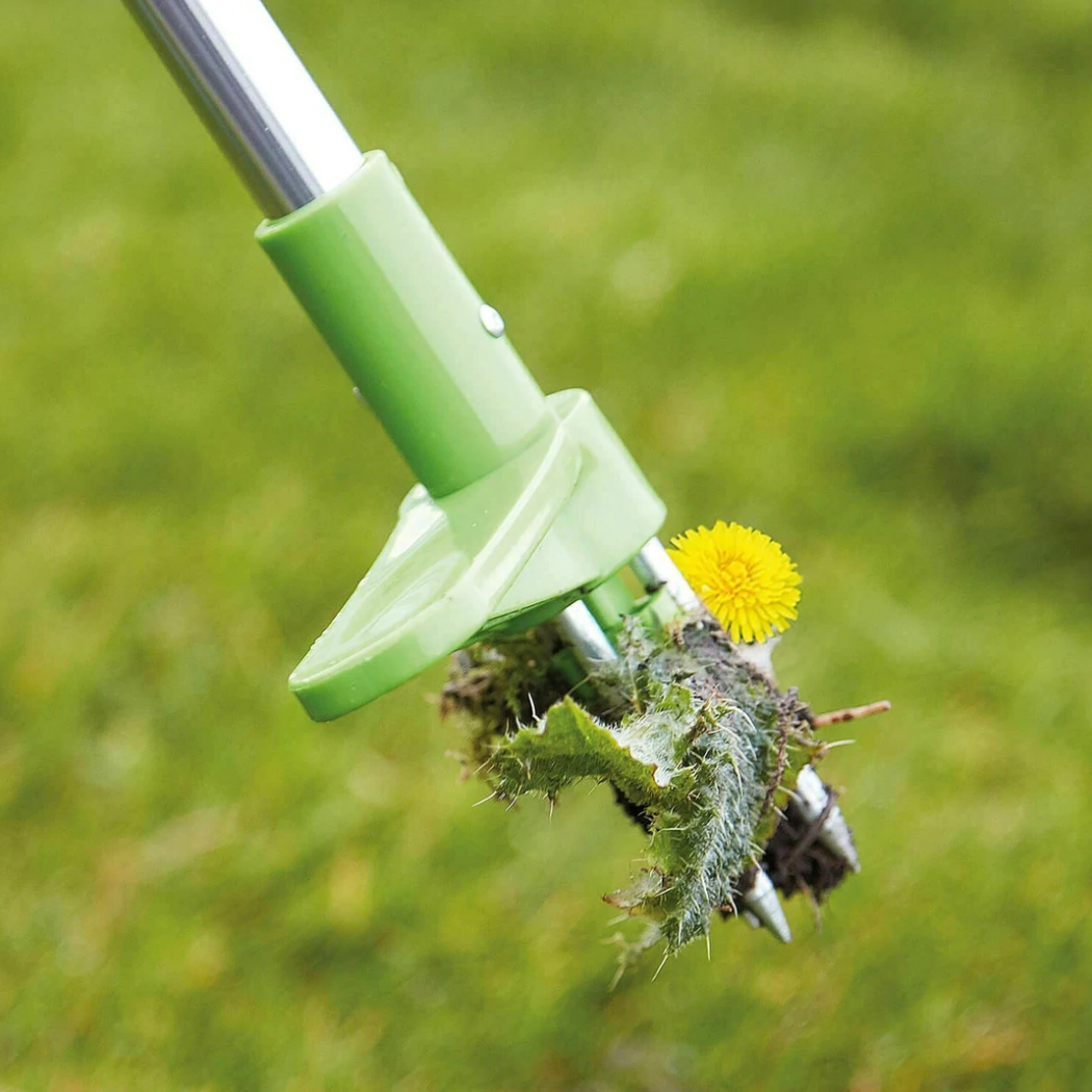Standing Weed Root Puller
