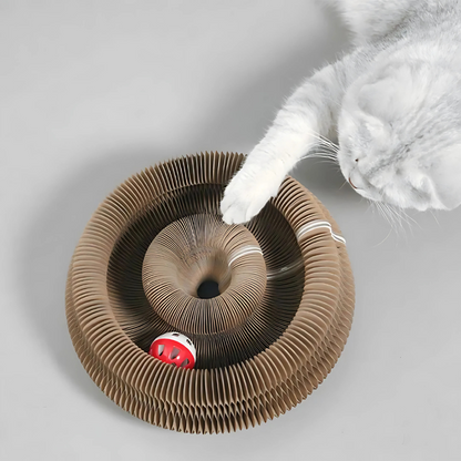 Cardboard Cat Maze, Magnetic Folding with Bell Ball