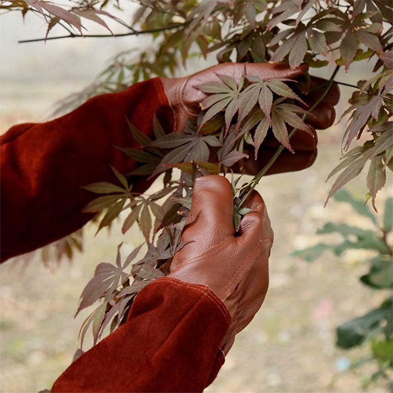 Gardening Gloves with Reinforced Palm