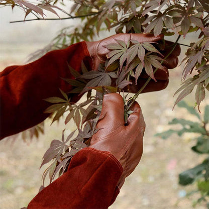 Gardening Gloves with Reinforced Palm