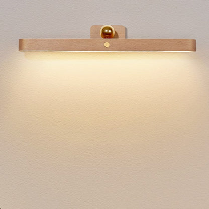 Simplicity LED Mirror Front Light USB Wall Sconce Lamp