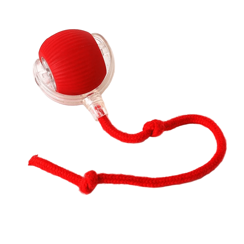 Automatic Moving Dog Ball, 180-Min Runtime