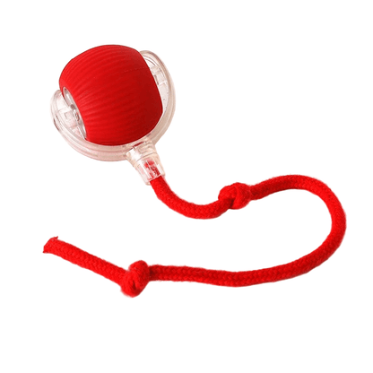 Automatic Moving Dog Ball, 180-Min Runtime