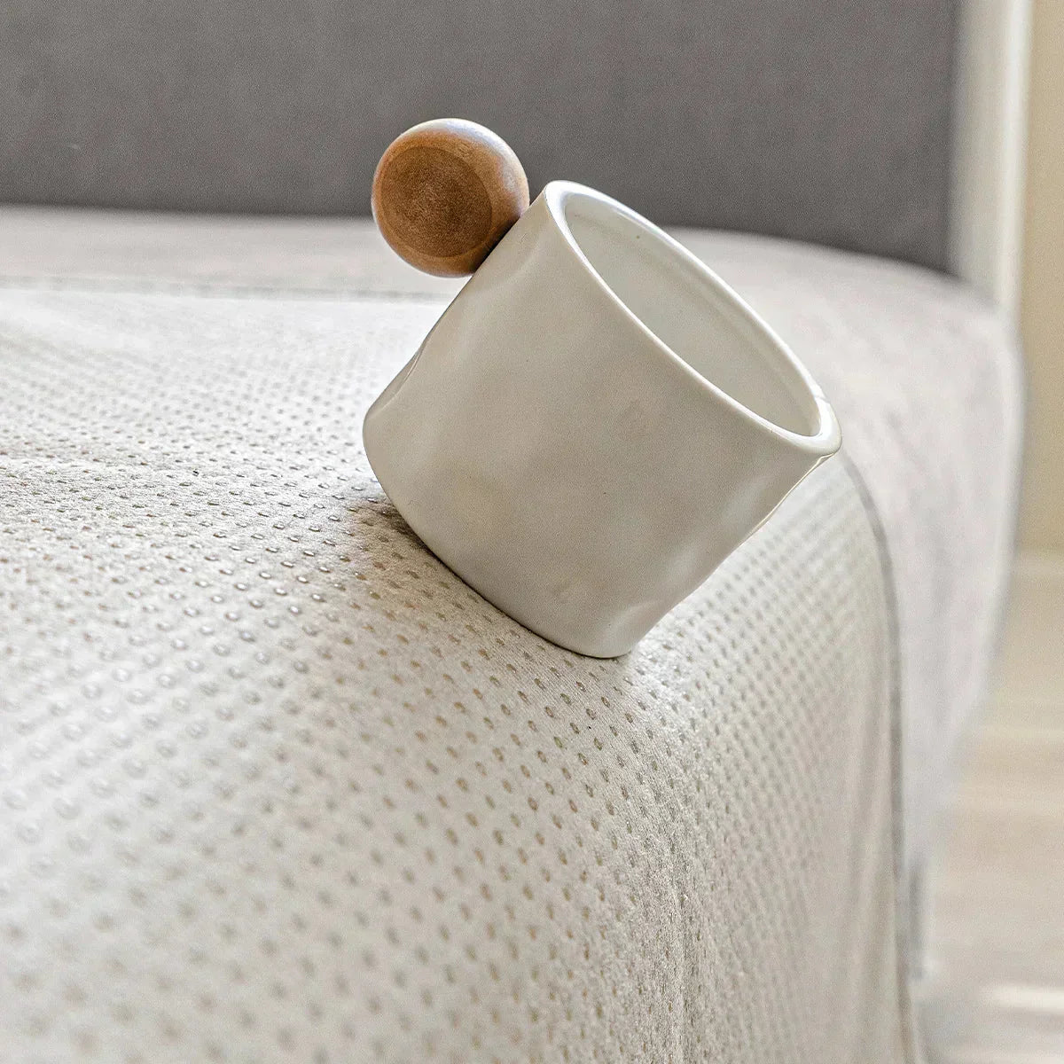 Scratch Resistant Sofa Cover, Machine Washable