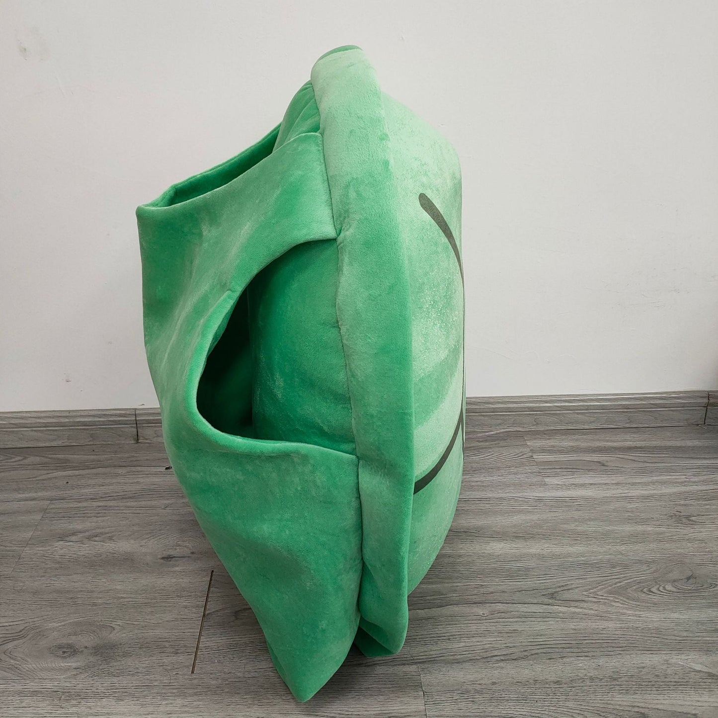 Turtle Shell Plush Pillow