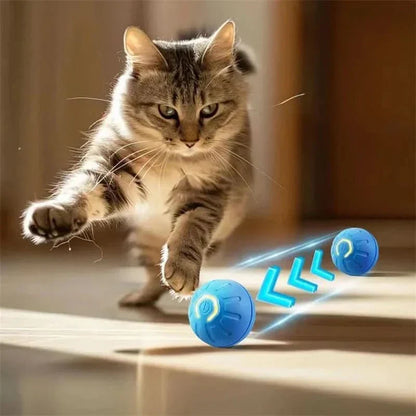 Automatic Moving Dog Ball, 180-Min Runtime