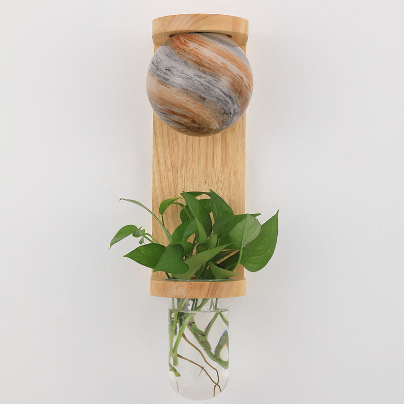 Glass Wood Planet Log Base Plant 1-Light Wall Sconce Lamp