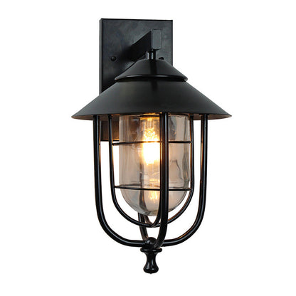 Industrial Bird Cage Iron Glass 1-Light Wall Sconce Lamp