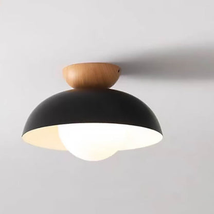Modern Iron Ceiling Light