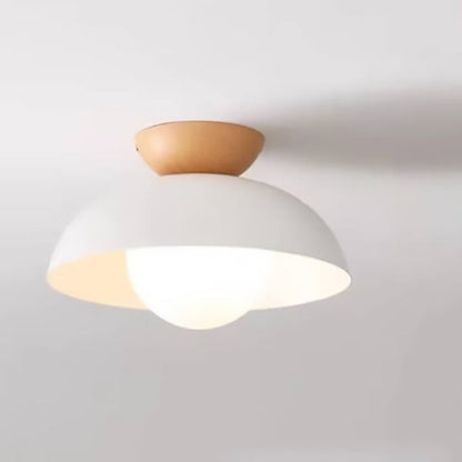 Modern Iron Ceiling Light