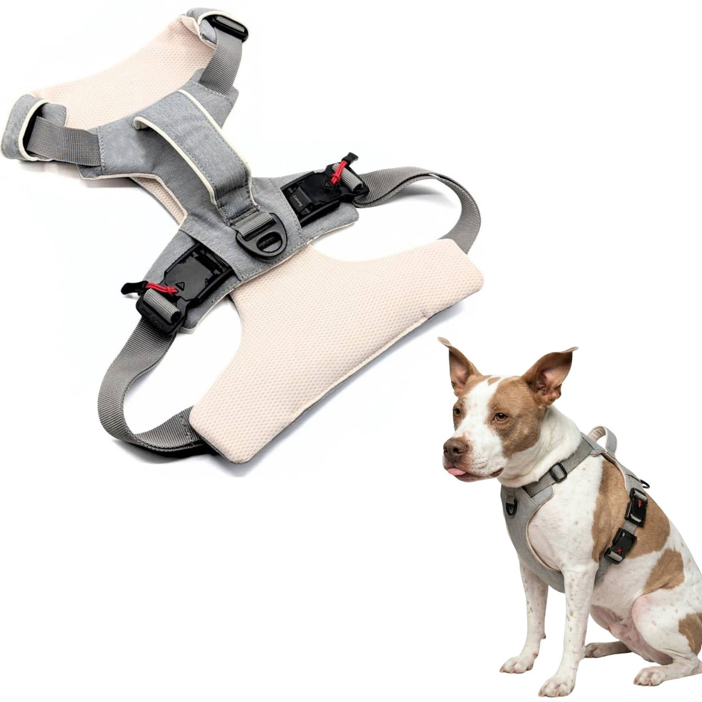 Magnetic No Pull Dog Harness, One Hand Clip