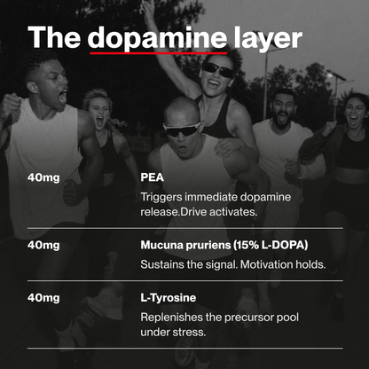 VOLTA 02 —  DOPAMINE // MOTIVATION