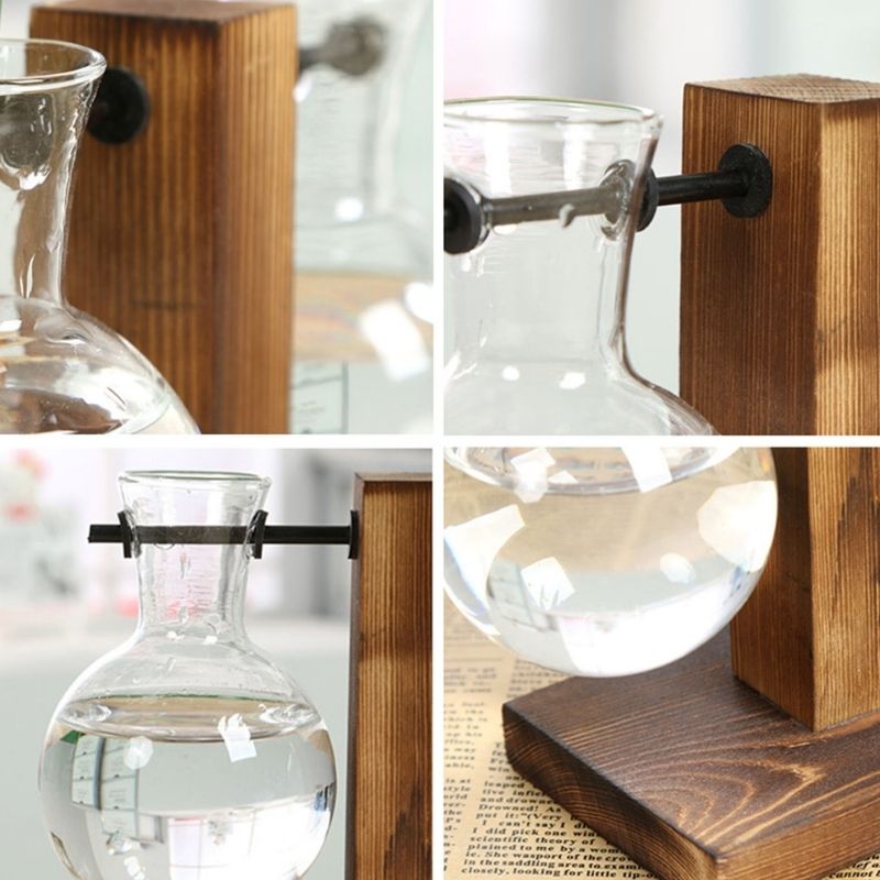 Hydroponic Plant Vase with Wood Frame