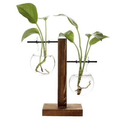 Hydroponic Plant Vase with Wood Frame