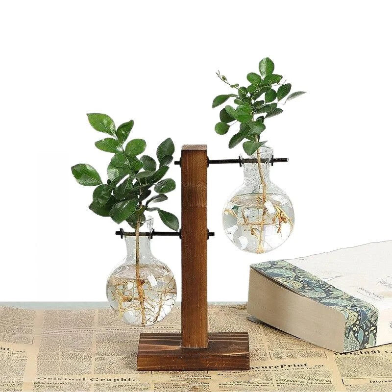 Hydroponic Plant Vase with Wood Frame