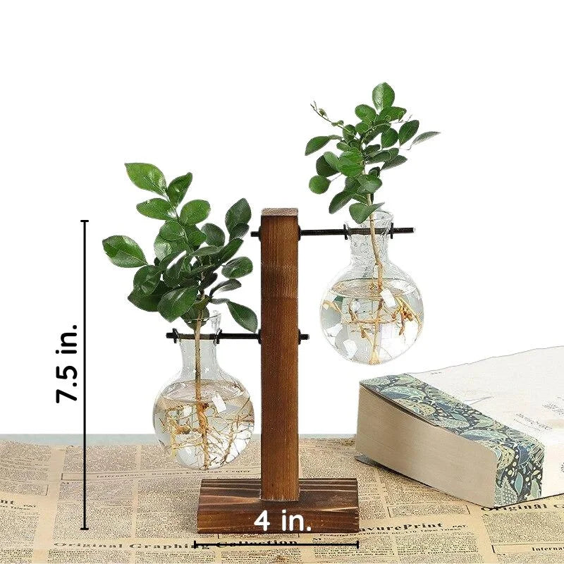 Hydroponic Plant Vase with Wood Frame