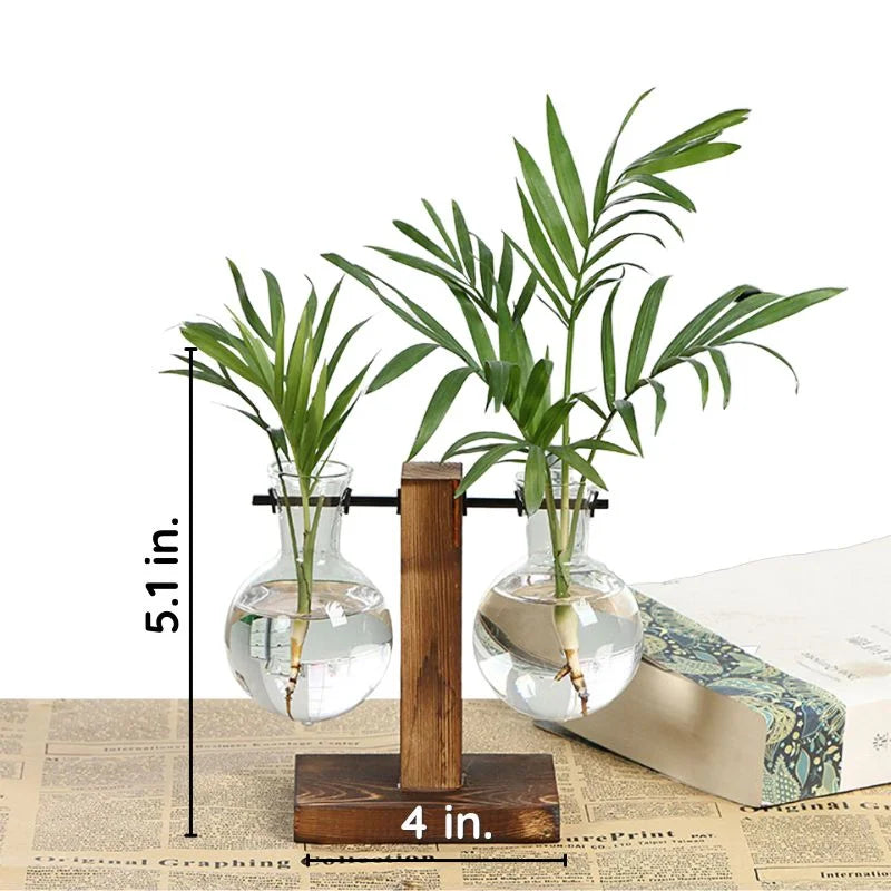 Hydroponic Plant Vase with Wood Frame