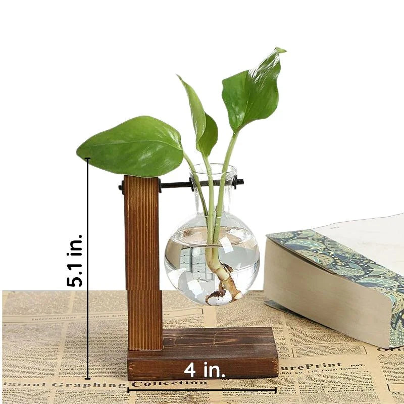 Hydroponic Plant Vase with Wood Frame