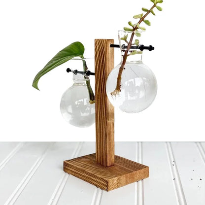 Hydroponic Plant Vase with Wood Frame